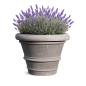 Preview: Pot de fleurs conique gris en terracotta d’Impruneta – Artisanat toscan haut de gamme pour plantes et jardin
